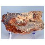 Stunning Polished Mexican Crazy Lace Agate Specimen – Intricate Banding.    1 lb 1.1 oz / 485 g.