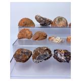 Collection of 15 Natural Oco Agate Geode Polished Specimens.   2 lbs 11.5 oz / 1 kg 235 g.