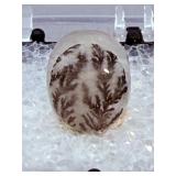 Rare 5pc Natural Dendritic Silicate Collection – Dendritic Opal, Agate & Quartz.   8.6 oz / 243 g.