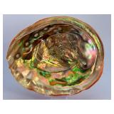 Iridescent Red Abalone Shell - Polished Mother of Pearl Display Piece.   15.7 oz / 446 g.