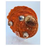 Iridescent Red Abalone Shell - Polished Mother of Pearl Display Piece.   15.7 oz / 446 g.