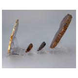 Rare Polished Petrified Wood Collection – 4-Piece Decorative Set.   15.2 oz / 433 g.