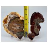 Rare Polished Petrified Wood Collection – 4-Piece Decorative Set.   15.2 oz / 433 g.