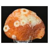 Collector’s Grade Gobi Agate with Multiple Distinct "Eye" Formations.   2,5 oz / 72 g.