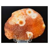 Collector’s Grade Gobi Agate with Multiple Distinct "Eye" Formations.   2,5 oz / 72 g.