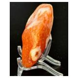 Collector’s Grade Gobi Agate with Multiple Distinct "Eye" Formations.   2,5 oz / 72 g.