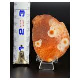 Collector’s Grade Gobi Agate with Multiple Distinct "Eye" Formations.   2,5 oz / 72 g.