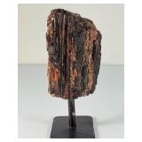 Striking 5.5" Raw Black Tourmaline & Golden Mica Specimen on Custom Display Stand.      1 lb 5.5 oz / 611g.