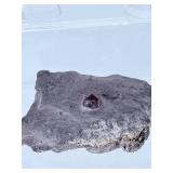 Rare 5-Piece Garnet Collector’s Set: Raw & Polished Specimens.   1 lb 3,7 oz / 560 g.