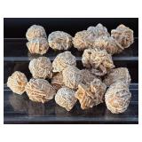 Large Lot of Natural Desert Rose Selenite Crystals – Rare "Sand Rose" Specimens.   12.8 oz / 363 g.