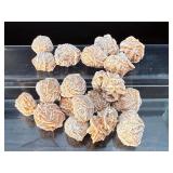 Large Lot of Natural Desert Rose Selenite Crystals – Rare "Sand Rose" Specimens.   12.8 oz / 363 g.
