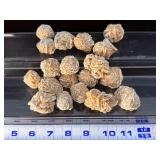 Large Lot of Natural Desert Rose Selenite Crystals – Rare "Sand Rose" Specimens.   12.8 oz / 363 g.