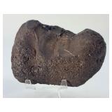 Large Natural Black Obsidian Specimens – Raw Volcanic Glass Set.   1 lb 5.3 oz / 605 g.