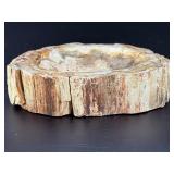 Master-Polished Petrified Wood Bowl – Ancient Fossilized Specimen.   1 lb 11.7 oz / 787 g.