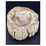 Master-Polished Petrified Wood Bowl – Ancient Fossilized Specimen.   1 lb 11.7 oz / 787 g.