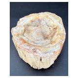Master-Polished Petrified Wood Bowl – Ancient Fossilized Specimen.   1 lb 11.7 oz / 787 g.