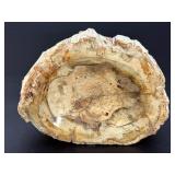 Master-Polished Petrified Wood Bowl – Ancient Fossilized Specimen.   1 lb 11.7 oz / 787 g.