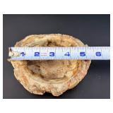 Master-Polished Petrified Wood Bowl – Ancient Fossilized Specimen.   1 lb 11.7 oz / 787 g.