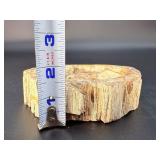 Master-Polished Petrified Wood Bowl – Ancient Fossilized Specimen.   1 lb 11.7 oz / 787 g.