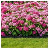 Cewor Garden Edging Boarder