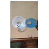 animal cones of shame