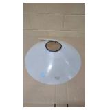 animal cones of shame