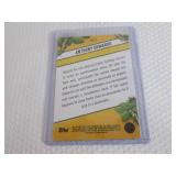 2025 Chrome Anthony Edwards Card...