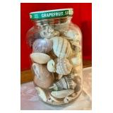 Jar of seashells