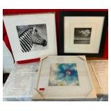 3 various prints Zebra Blue Floral Black & White
