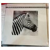 3 various prints Zebra Blue Floral Black & White