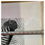 3 various prints Zebra Blue Floral Black & White