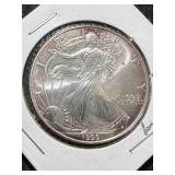 1999 AMERICAN SILVER EAGLE 1 TROY OZ .999 FINE SILVER