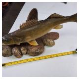 Walleye Fish Mount Over two feet in length, Professionally Mounted and Curated with stones