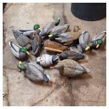 Attn Hunters:  Large Lot of Duck Decoys - 12 total on line with weights
