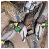 Attn Hunters:  Large Lot of Duck Decoys - 12 total on line with weights