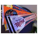 Variety of Pennants
