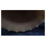 ANTIQUE WALL SCONCES