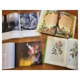 German Book Lot: Weidmannsheil!, Das Bunte Buch, Schwäbisch alemannische Fasnacht, Green Volume (Lot of 4)