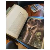 Wild Animals of North America - Way of the Whitetail - Everyday Science Explained (Lot of 4)