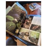 Wild Animals of North America - Way of the Whitetail - Everyday Science Explained (Lot of 4)