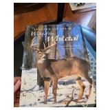 Wild Animals of North America - Way of the Whitetail - Everyday Science Explained (Lot of 4)