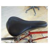 Schwinn 10-Speed Men