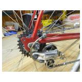 Schwinn 10-Speed Men