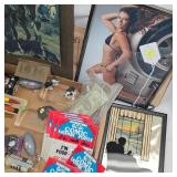 Photo of Danica Patrick Nascar Driver