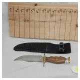 Bowie Hunting Knife