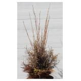 classic cast iron urn planter 24" High X 18" Top diameter