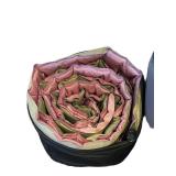 LL - ZOOT Sports Backpack 18 x 25 in & Camping Sleeping Mats