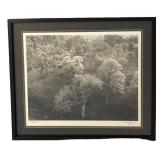 ULB - Tehachapi Pass, California 1973 Signed Print - Edition 231/1000