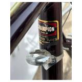 G - Panasonic Pro-Touring Bicycle with 24” Frame.