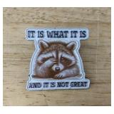Raccoon Enamel Pin It Is What It Is And It Is Not Great - Brand New